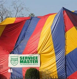 Service Master: Pest Control and Cleaning - Durban Morningside 1