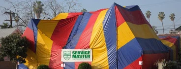 Service Master: Pest Control and Cleaning - Durban Morningside 1