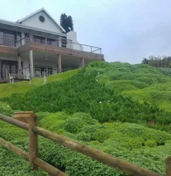 Greenage Landscape & Design Ballito 1