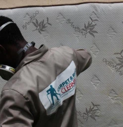 Carpet and Rug Cleanix (Pty) Ltd Sandton CBD 1