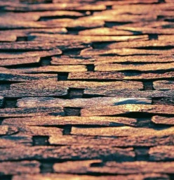 Brick Paving