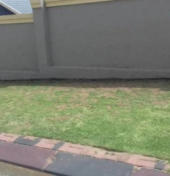 Thathe cleaning and gardening Johannesburg CBD 1