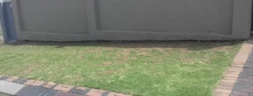 Thathe cleaning and gardening Johannesburg CBD 1