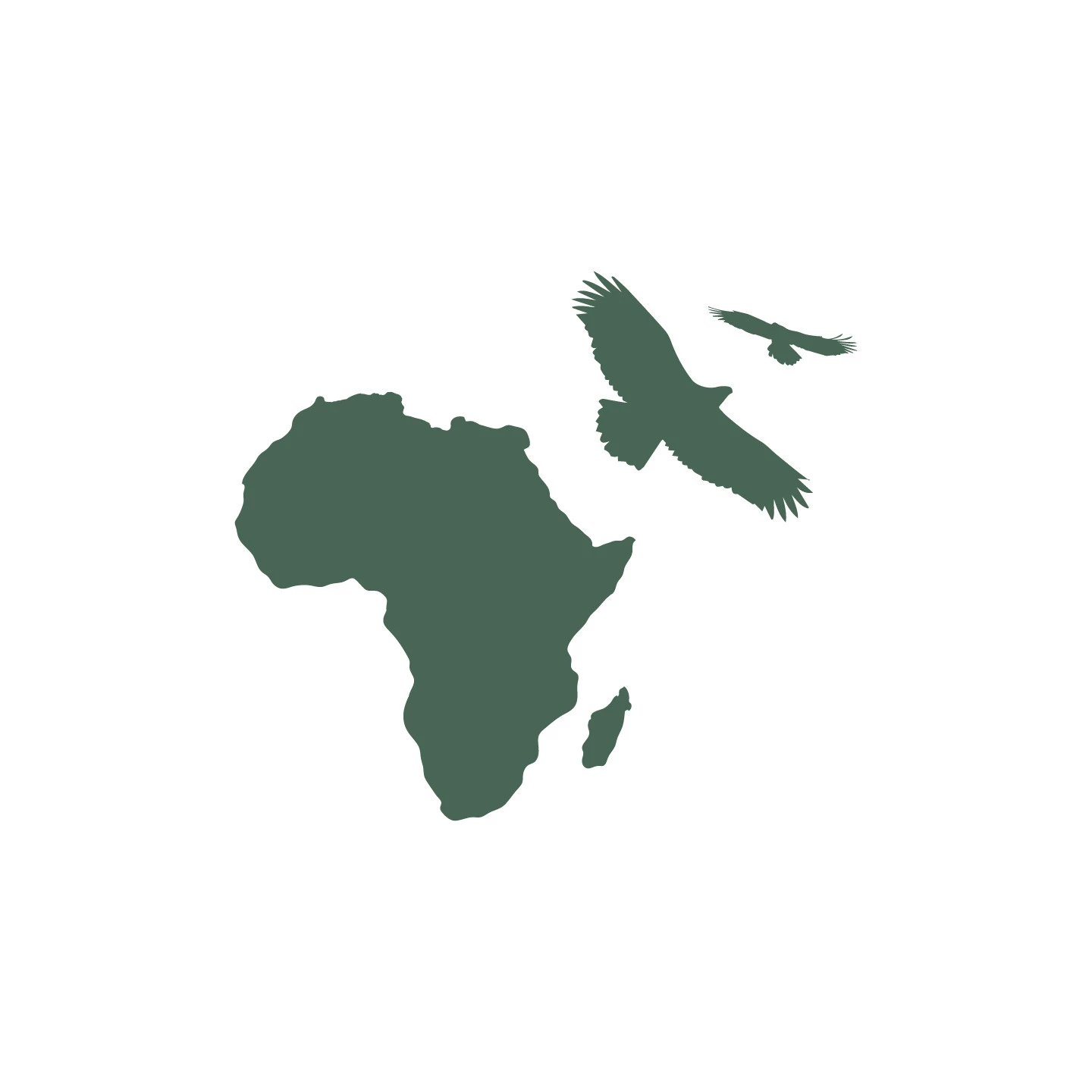 African Eagle Projects