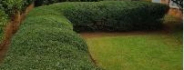 The Green Garden Organics Highway Gardens 1