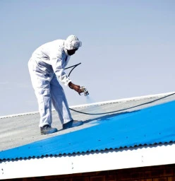 roof spray painting