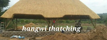 Hangwi Thatching Johannesburg CBD 1