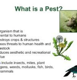 Did you know.