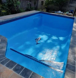 Pool repair Sandton