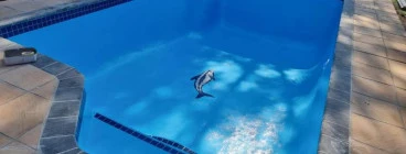 Pool repair Sandton