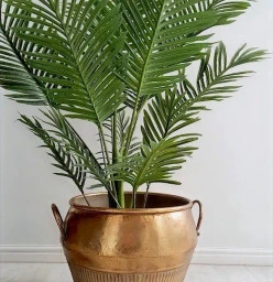 Woodka Interiors Cape Town Central 1