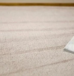 Carpet Cleaning Services