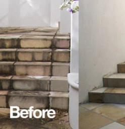 Tile Cleaning Doctor Maitland 1