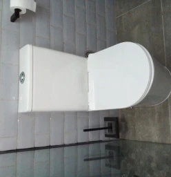 Toilet system installation