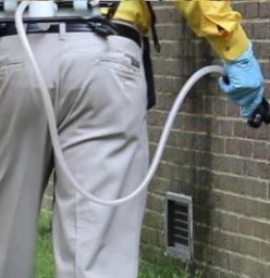 Pest Control West Coast