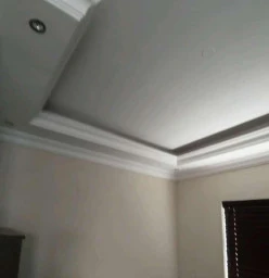 Interior painting and ceiling